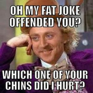 willy wonka meme - Oh My Fat Joke Offended You? Which One Of Your Chins Did I Hurt?