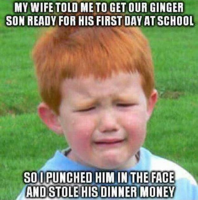 funny ginger kid - My Wife Told Me To Get Our Ginger Son Ready For His First Day At School So I Punched Him In The Face And Stole His Dinner Money