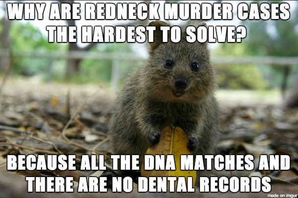 offensive white jokes - Why Are Redneck Murder Cases The Hardest To Solve? Because All The Dna Matches And There Are No Dental Records made on imgur