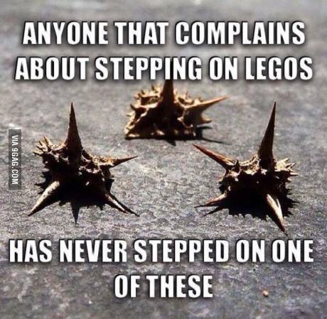 goat heads thorn - Anyone That Complains About Stepping On Legos Via 9GAG.Com Has Never Stepped On One Of These