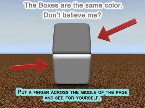 color box illusion - The Boxes are the same color. Don't believe me? Put A Finger Across The Middle Of The Page And See For Yourself.