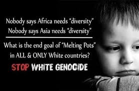 memes - white genocide love your race - Nobody says Africa needs "diversity" Nobody says Asia needs "diversity What is the end goal of "Melting Pots" in All & Only White countries? Stop White Genocide