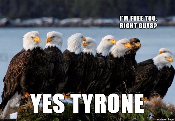memes - bald eagle meme - I'M Free Too, Right Guys? Yes Tyrone made on imgur