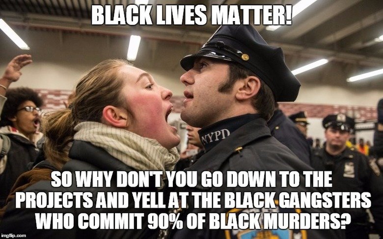 memes - my taxes pay your salary meme - Black Lives Matter! Nypd So Why Don'T You Go Down To The Projects And Yell At The Black Gangsters Who Commit 90% Of Black Murders? imgflip.com