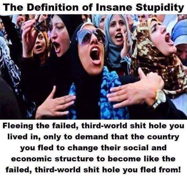 memes - alcohol we had a deal - The Definition of Insane Stupidity Fleeing the failed, thirdworld shit hole you lived in, only to demand that the country you fled to change their social and economic structure to become the failed, thirdworld shit hole you