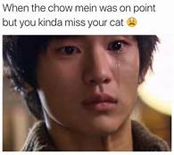 memes - When the chow mein was on point but you kinda miss your cat