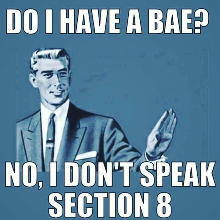 Humour - Do I Have A Bae? No. I Don'T Speak Section 8