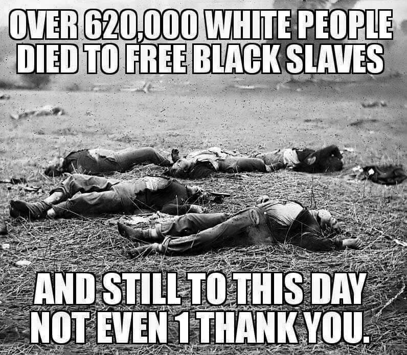 over 620000 white people died to free black slaves - Over 620,000 White People Died To Free Black Slaves And Still To This Day Not Even 1 Thank You..