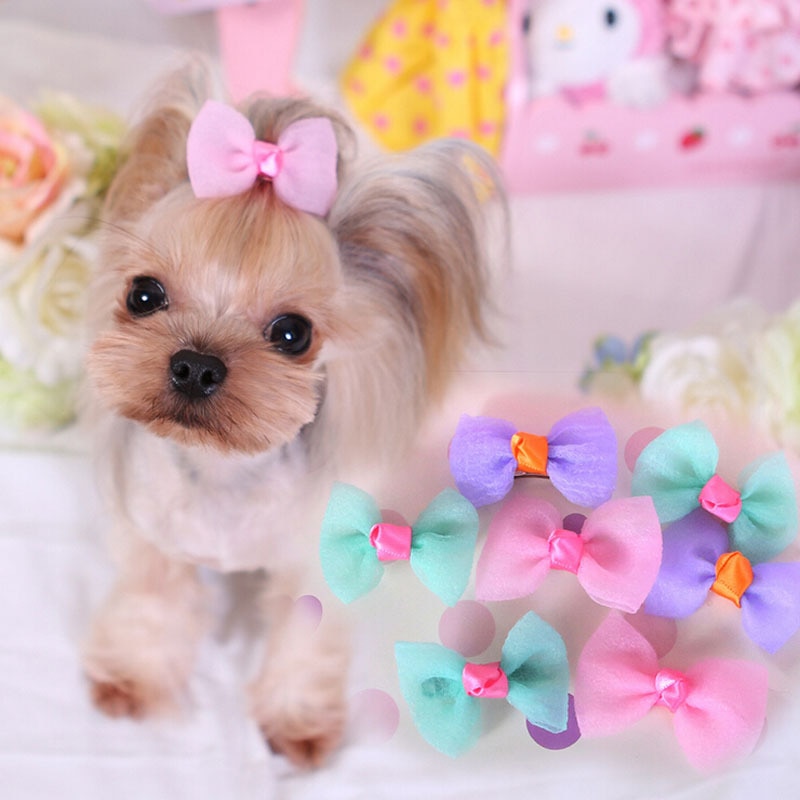 cute dogs with bows