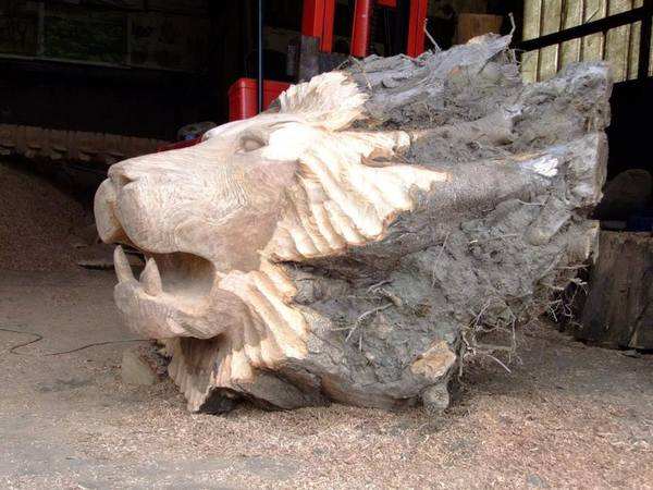 lion carved out of tree root