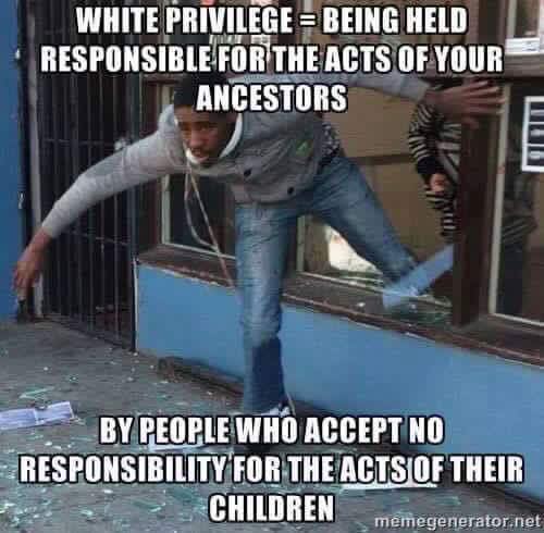 meme - White Privilegebeing Held Responsible For The Acts Of Your Ancestors Don By People Who Accept No Responsibility For The Acts Of Their Children memegenerator.net