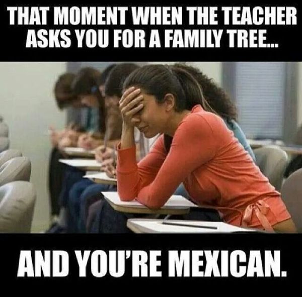 mexican family tree meme - That Moment When The Teacher Asks You For A Family Tree... And You'Re Mexican.