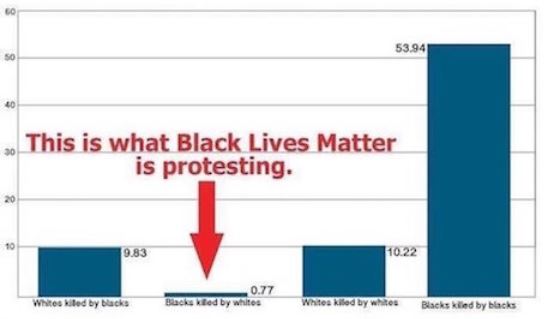 This is what Black Lives Matter is protesting. 10.22 0.77 Blacks kiled by whites Whitested by blacks Whitesiled by white Blacks kided by Hacks