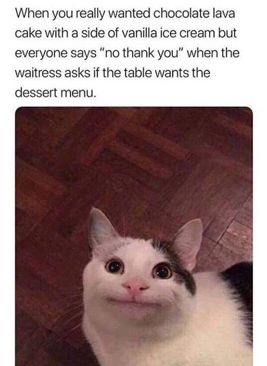 you want dessert meme - When you really wanted chocolate lava cake with a side of vanilla ice cream but everyone says "no thank you" when the waitress asks if the table wants the dessert menu.