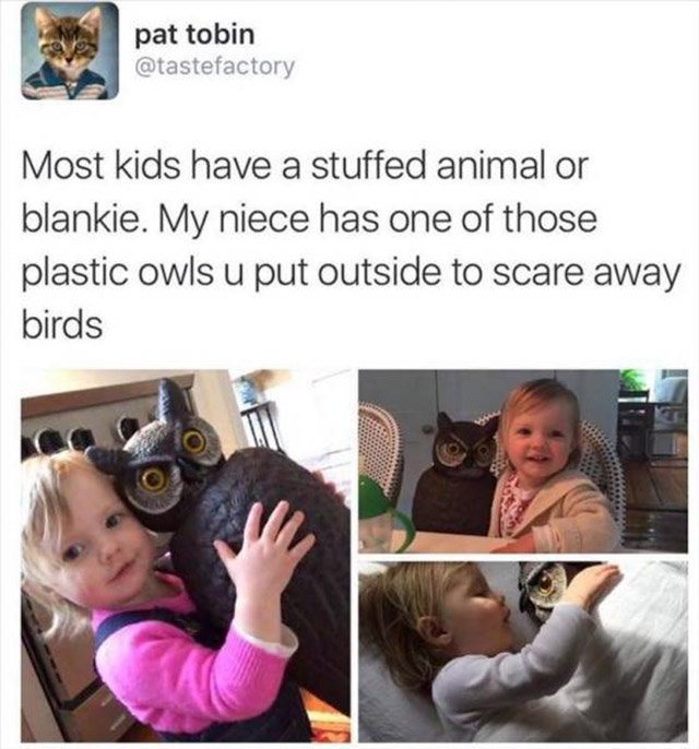 random pic niece posts on instagram with caption - pat tobin Most kids have a stuffed animal or blankie. My niece has one of those plastic owls u put outside to scare away birds