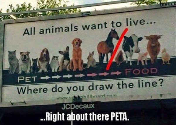 random pic do you draw the line billboard - All animals want to live... Pet Food Where do you draw the line? JCDecaux ... Right about there Peta.