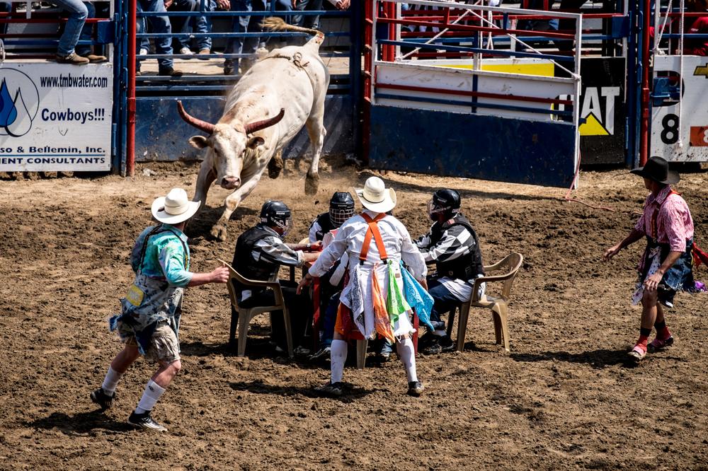 playing cards in the middle of a rodeo