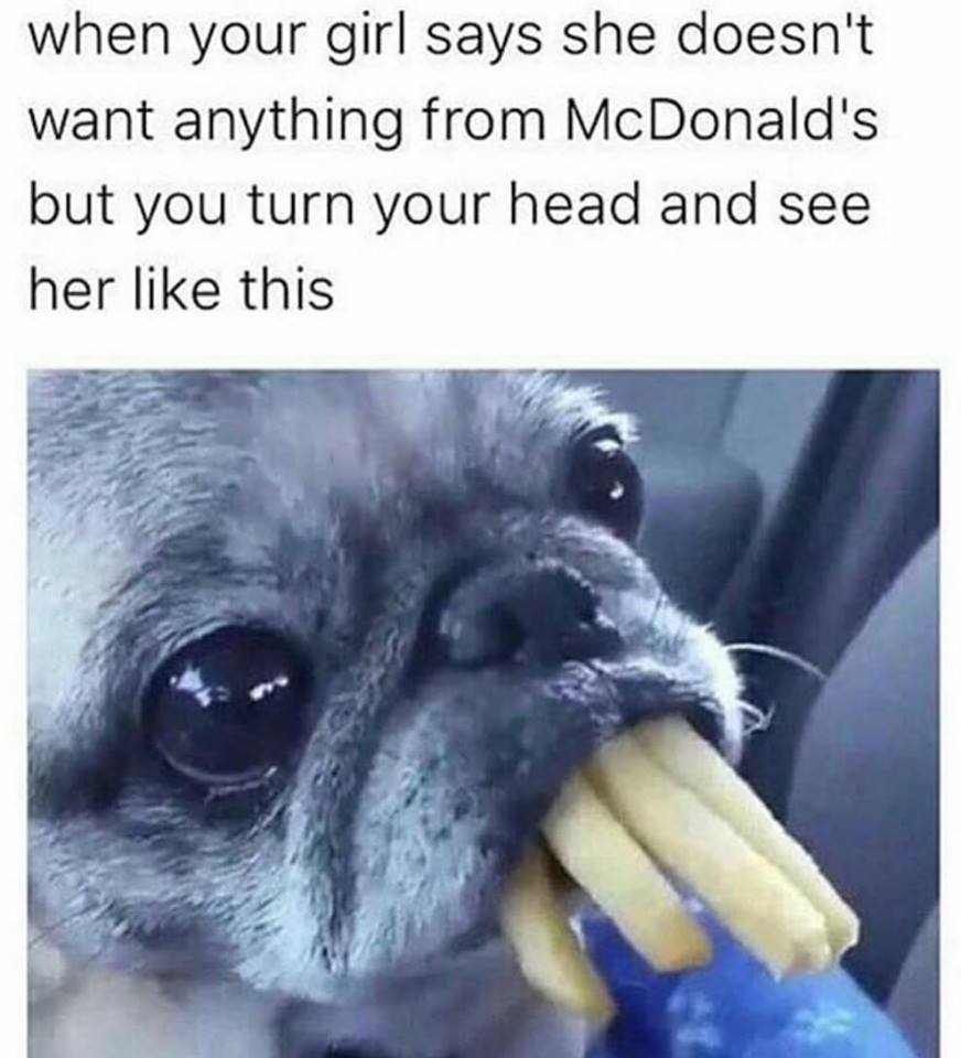 Dog eating fries meme about girl friend who says she doesn't want anything but then eats your fries