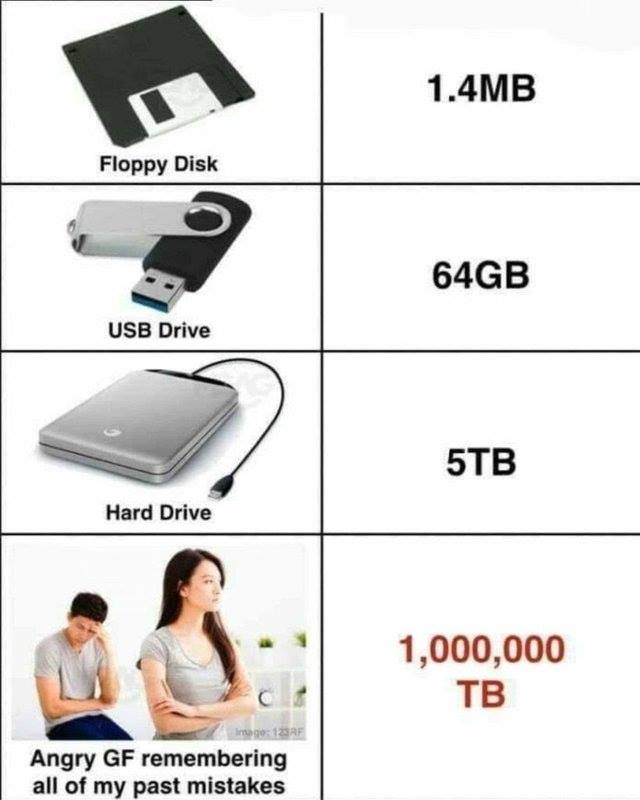 usb memes - 1.4MB Floppy Disk 64GB Usb Drive 5TB Hard Drive 1,000,000 Tb image 123AF Angry Gf remembering all of my past mistakes