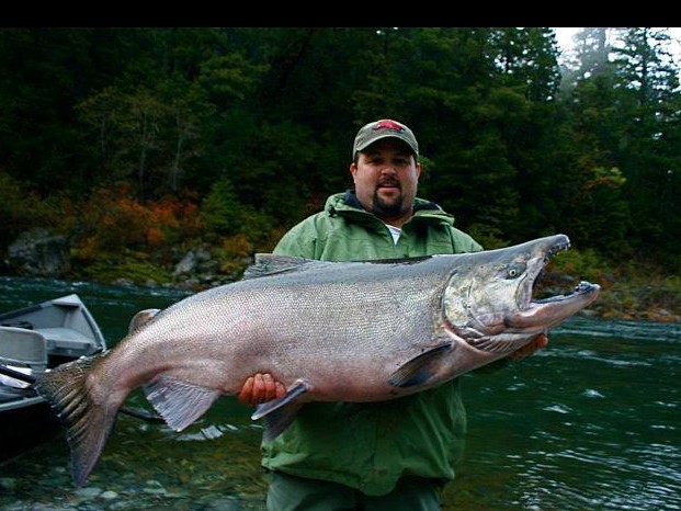 chinook salmon big