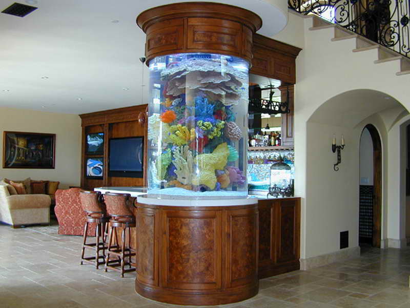 Photo of a beautiful round, colorful aquarium inside a home
