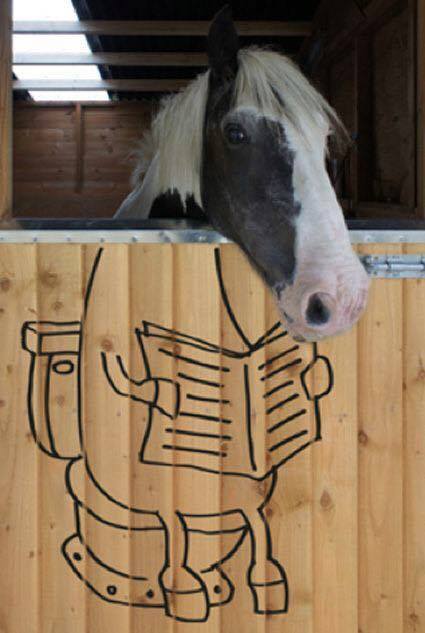 Photo of a horse with it's head over the stable door with a drawing of a horse sitting on a toilet drawn on the door below it.