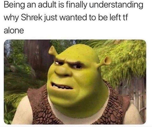 shrek memes - Being an adult is finally understanding why Shrek just wanted to be left tf alone