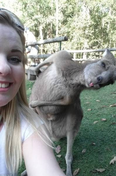 animal photobombing a selfie