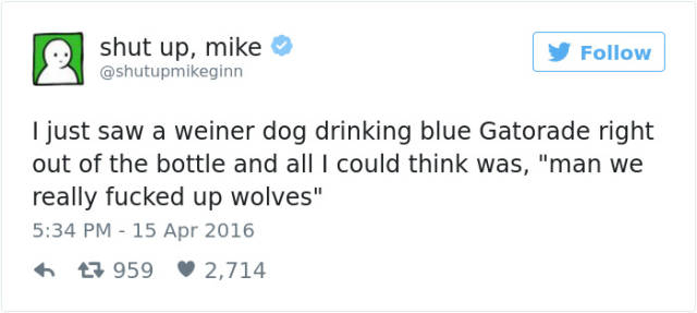 donald trump nuclear tweet - shut up, mike I just saw a weiner dog drinking blue Gatorade right out of the bottle and all I could think was, "man we really fucked up wolves" 3 959 2,714