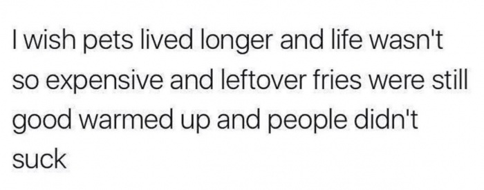 number - I wish pets lived longer and life wasn't so expensive and leftover fries were still good warmed up and people didn't suck