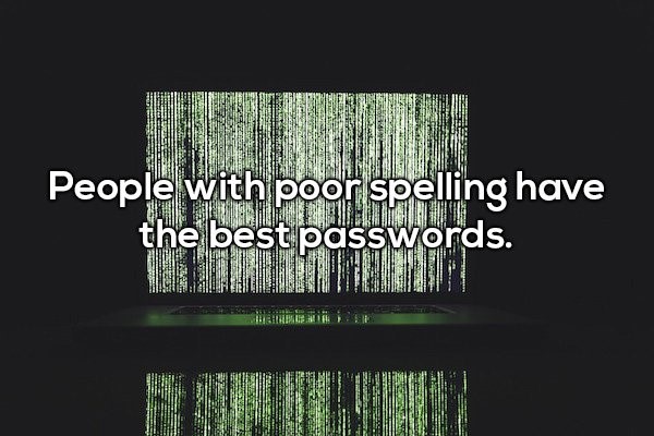 green feed instagram - Ann Varonet People with poor spelling have the best passwords.
