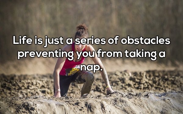 Life is just a series of obstacles preventing you from taking a nap.
