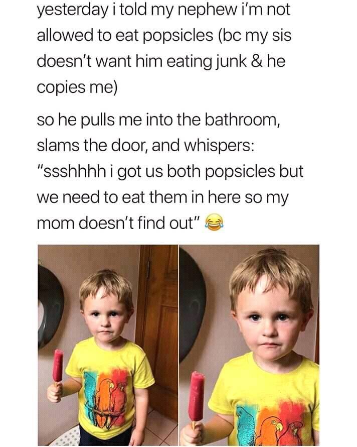 not wholesome memes - yesterday i told my nephew i'm not allowed to eat popsicles bc my sis doesn't want him eating junk & he copies me so he pulls me into the bathroom, slams the door, and whispers "ssshhhh i got us both popsicles but we need to eat them