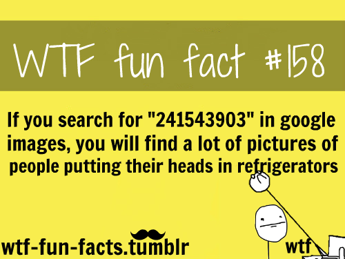 stadium australia - W Tf fun fact If you search for "241543903" in google images, you will find a lot of pictures of people putting their heads in refrigerators wtffunfacts.tumblr wtf