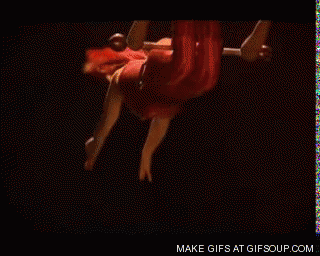 trapeze tumblr gif - Make Gifs At Gifsoup.Com