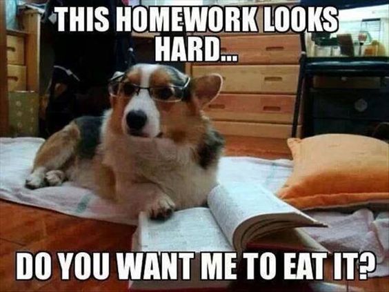 homework looks hard do you want me - This Homework Looks Hard... Ii Do You Want Me To Eat It?