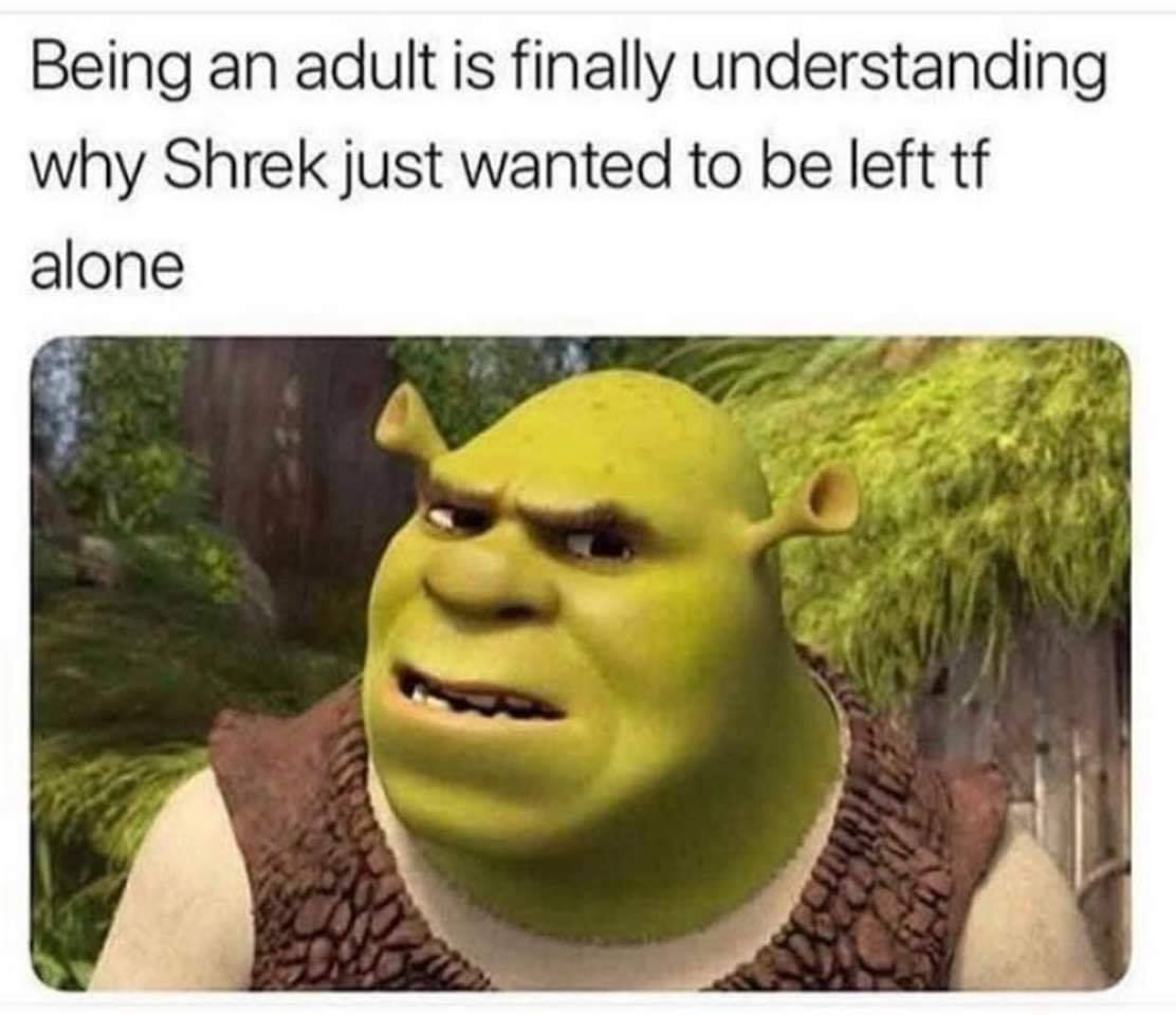shrek adult meme - Being an adult is finally understanding why Shrek just wanted to be left tf alone