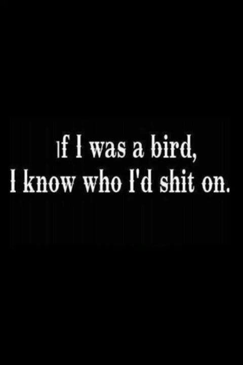 absolutely quotes - if I was a bird, I know who I'd shit on.