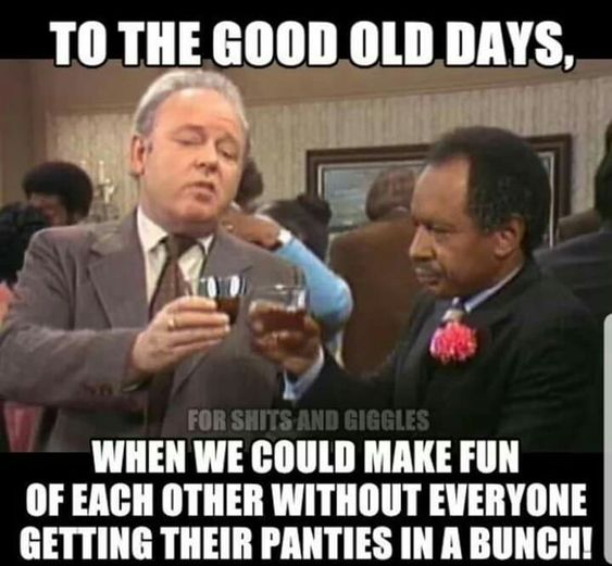 everyone is so sensitive meme - To The Good Old Days, For Shits And Giggles When We Could Make Fun Of Each Other Without Everyone Getting Their Panties In A Bunch!