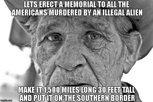 old cowboy sayings funny - Lets Erect A Memorial To All The Americans Murdered By An Illegal Alien Make It 1.500 Miles Long 30 Feet Tall And Put It On The Southern Border