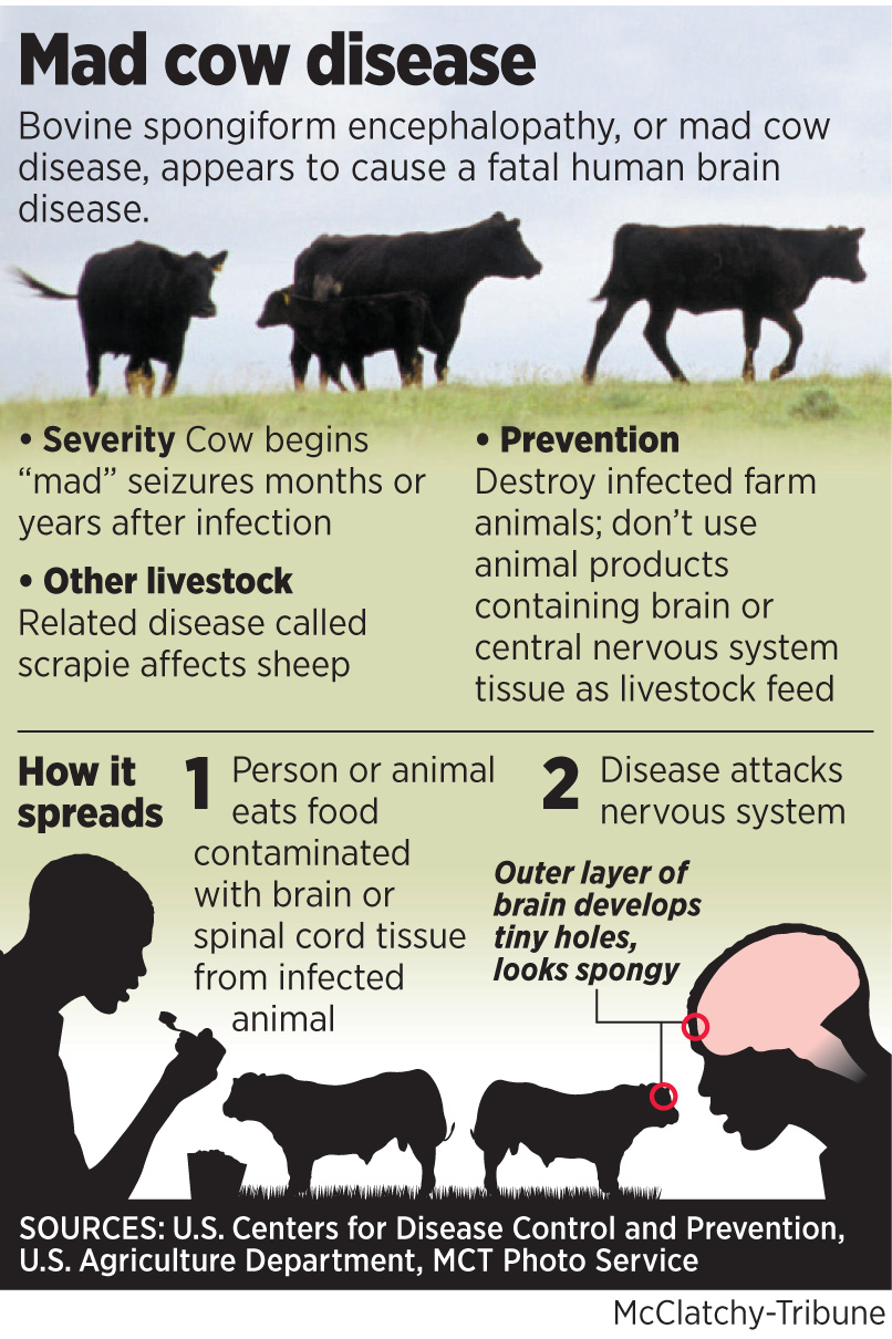 Mad Cow disease became a thing.