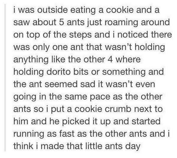 document - i was outside eating a cookie and a saw about 5 ants just roaming around on top of the steps and i noticed there was only one ant that wasn't holding anything the other 4 where holding dorito bits or something and the ant seemed sad it wasn't e