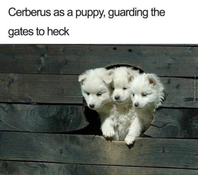 scary memes - Cerberus as a puppy, guarding the gates to heck MemeCenter.com
