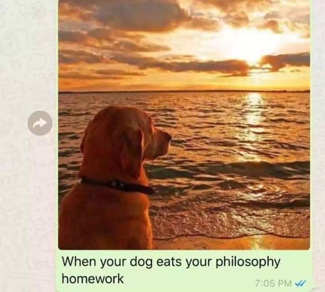 your dog eats your philosophy homework - When your dog eats your philosophy homework