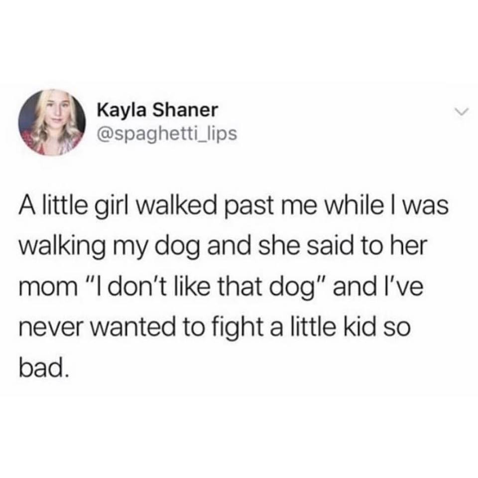 animal - Kayla Shaner A little girl walked past me while I was walking my dog and she said to her mom "I don't that dog" and I've never wanted to fight a little kid so bad.
