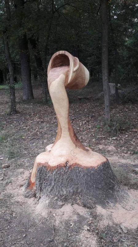 soak logs in wood