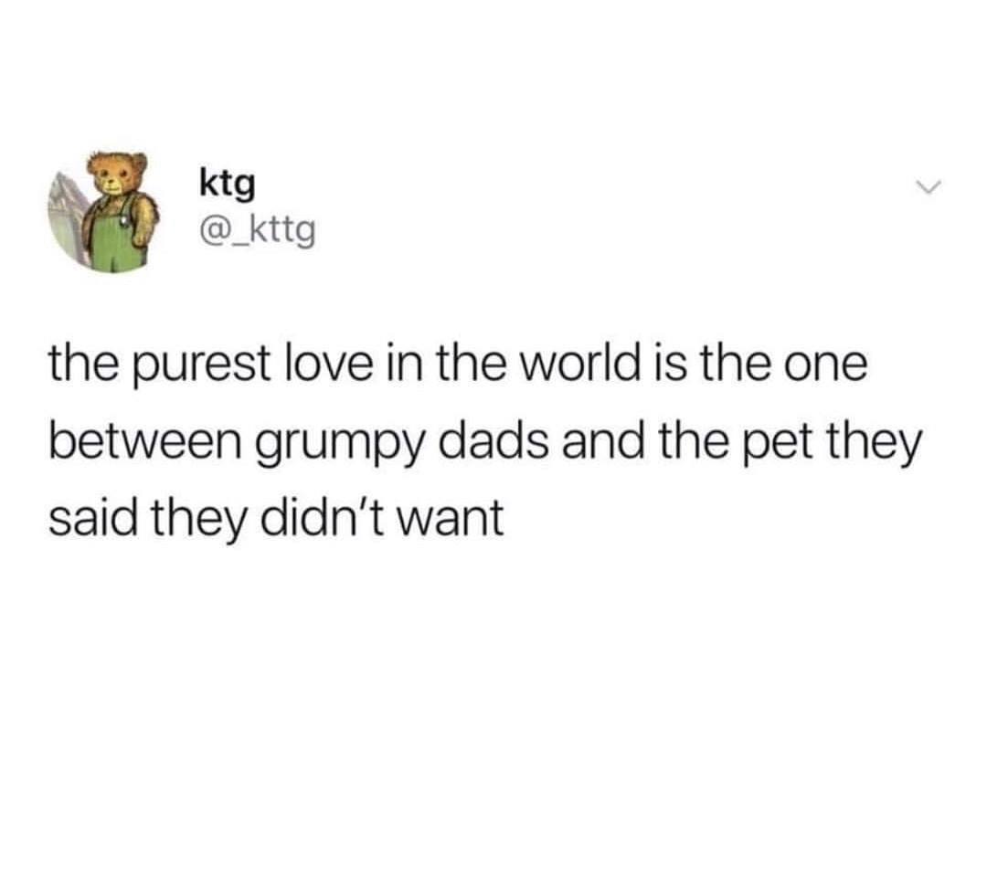 ktg ktg the purest love in the world is the one between grumpy dads and the pet they said they didn't want