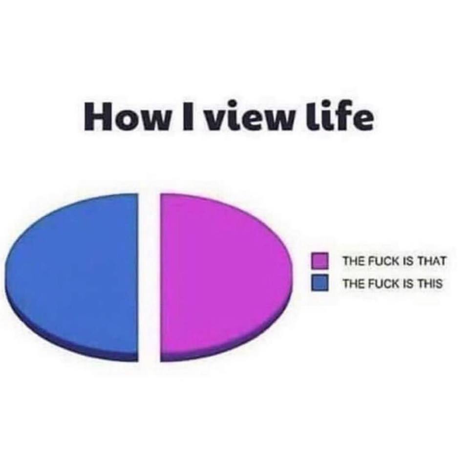 view life the fuck - How I view life The Fuck Is That The Fuck Is This
