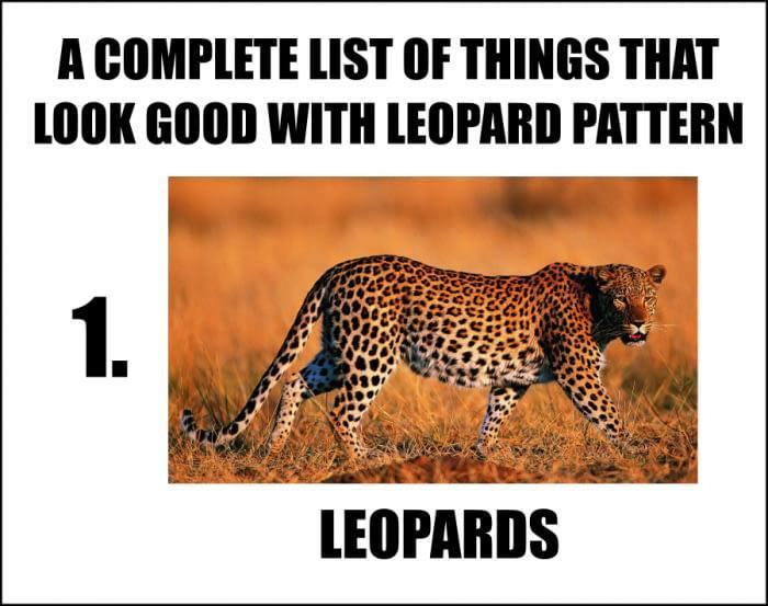 things that look good in leopard - A Complete List Of Things That Look Good With Leopard Pattern Leopards