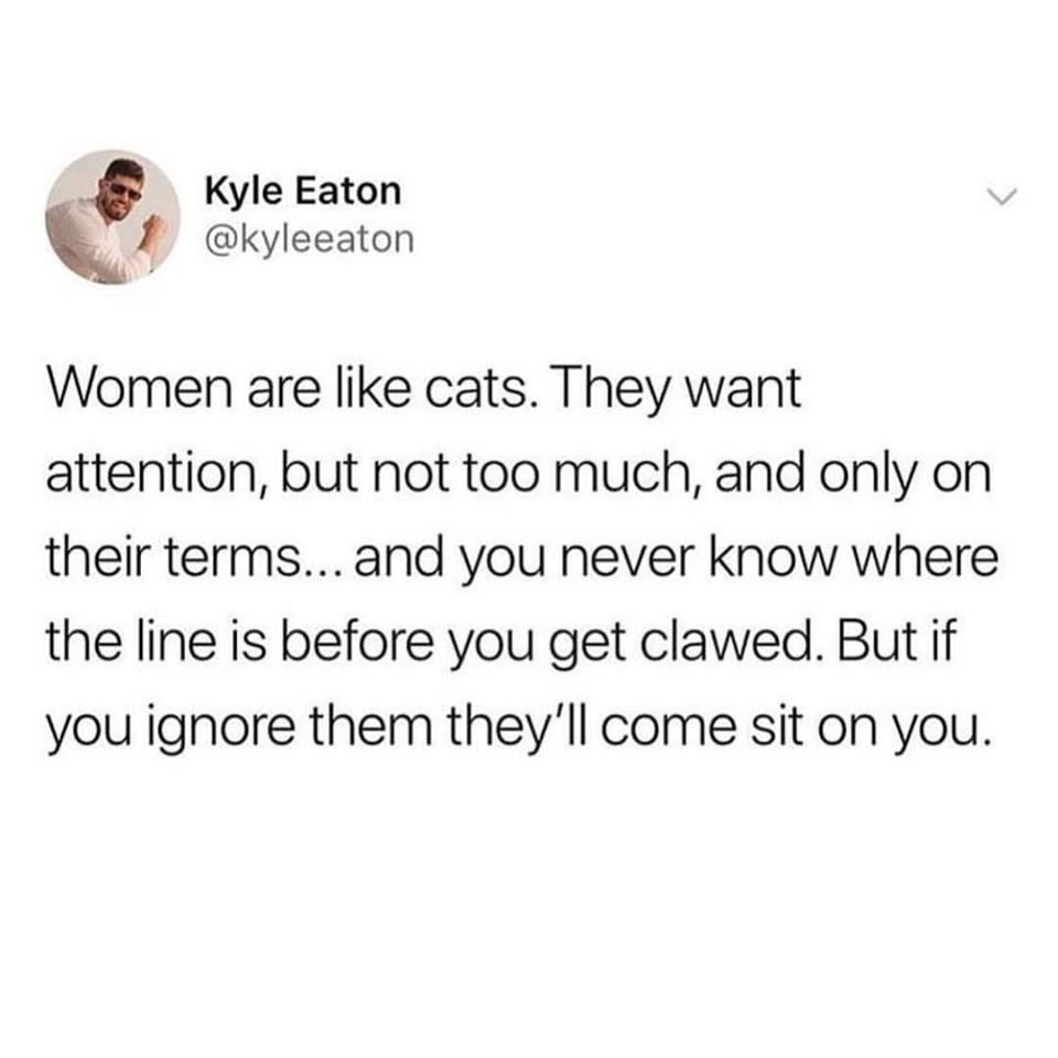 women are like cats - Kyle Eaton Women are cats. They want attention, but not too much, and only on their terms... and you never know where the line is before you get clawed. But if you ignore them they'll come sit on you.